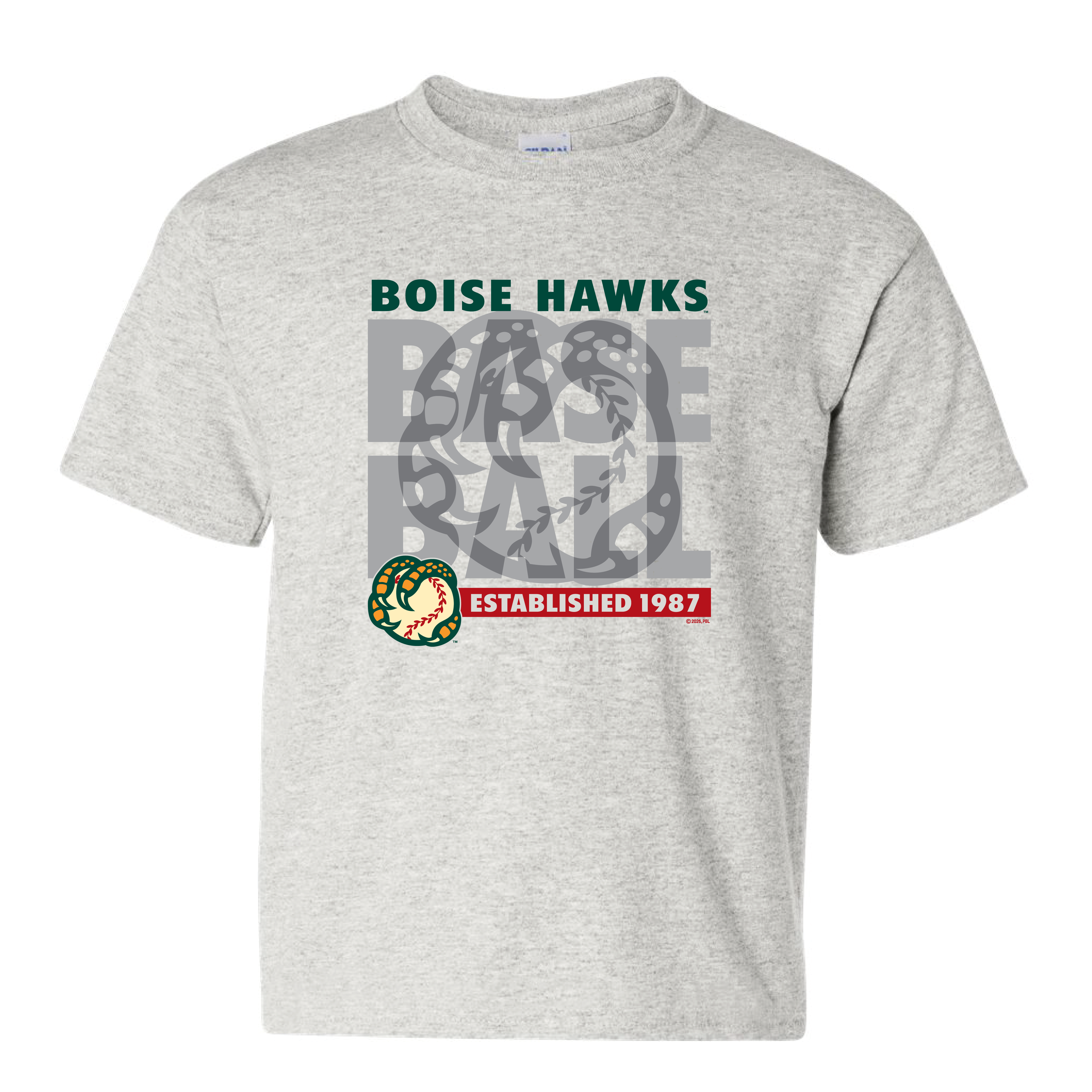 BOISE HAWKS YOUTH LUIGI TEE, ASH GREY