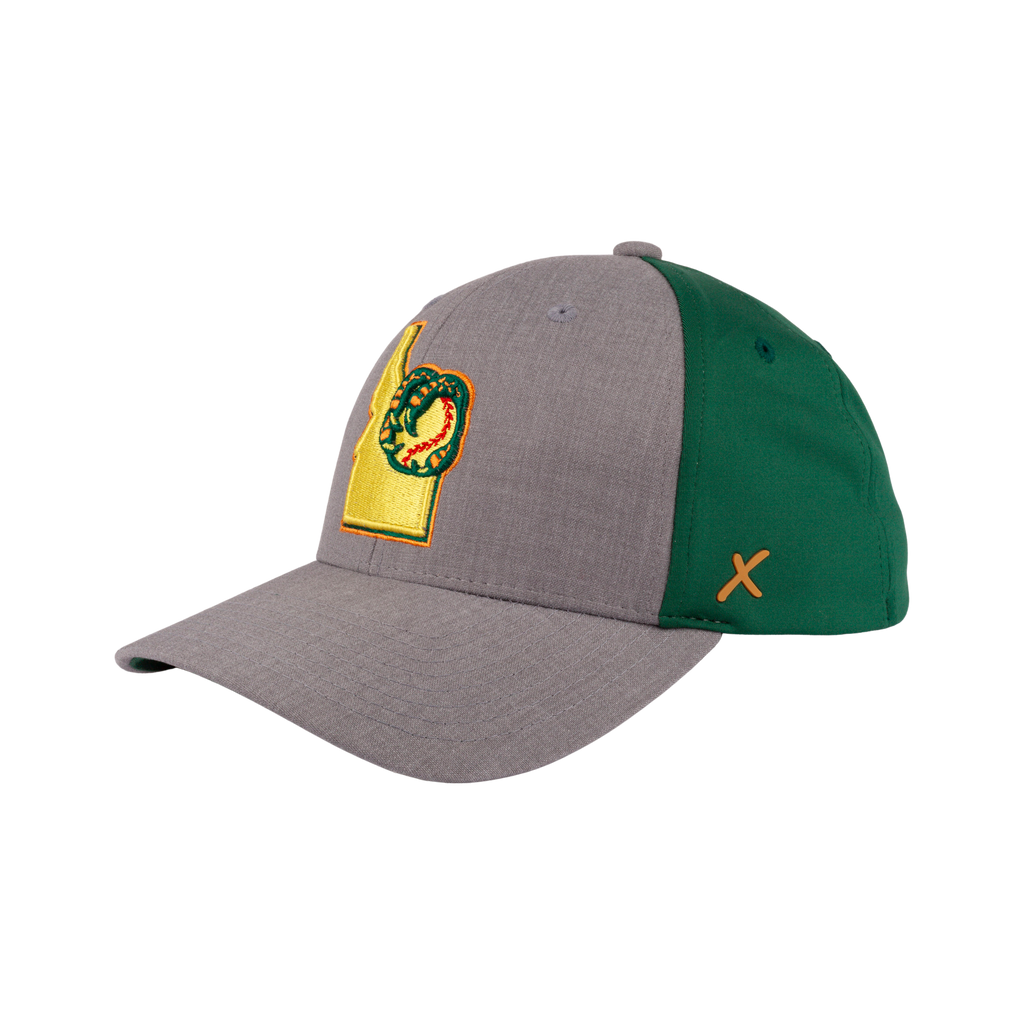 BOISE HAWKS FLINT FLEX FIT HAT