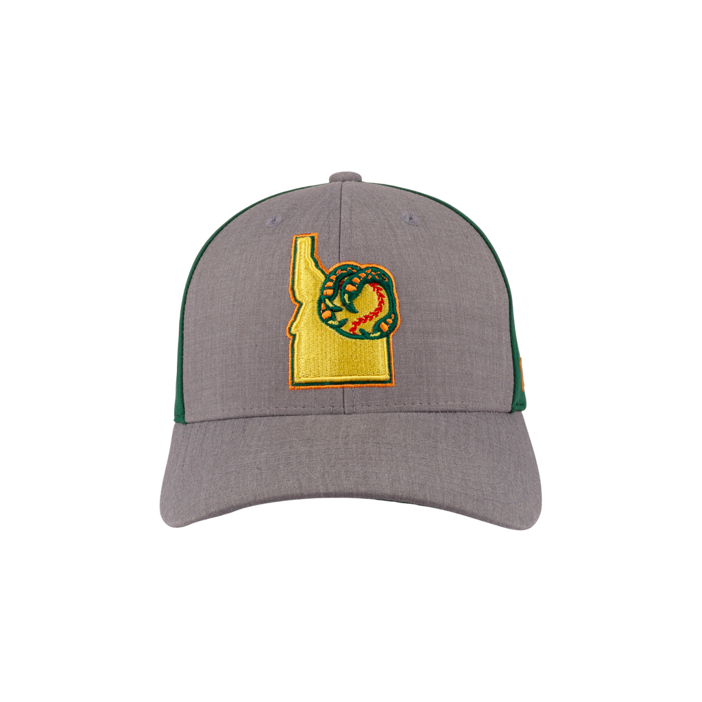 BOISE HAWKS FLINT FLEX FIT HAT
