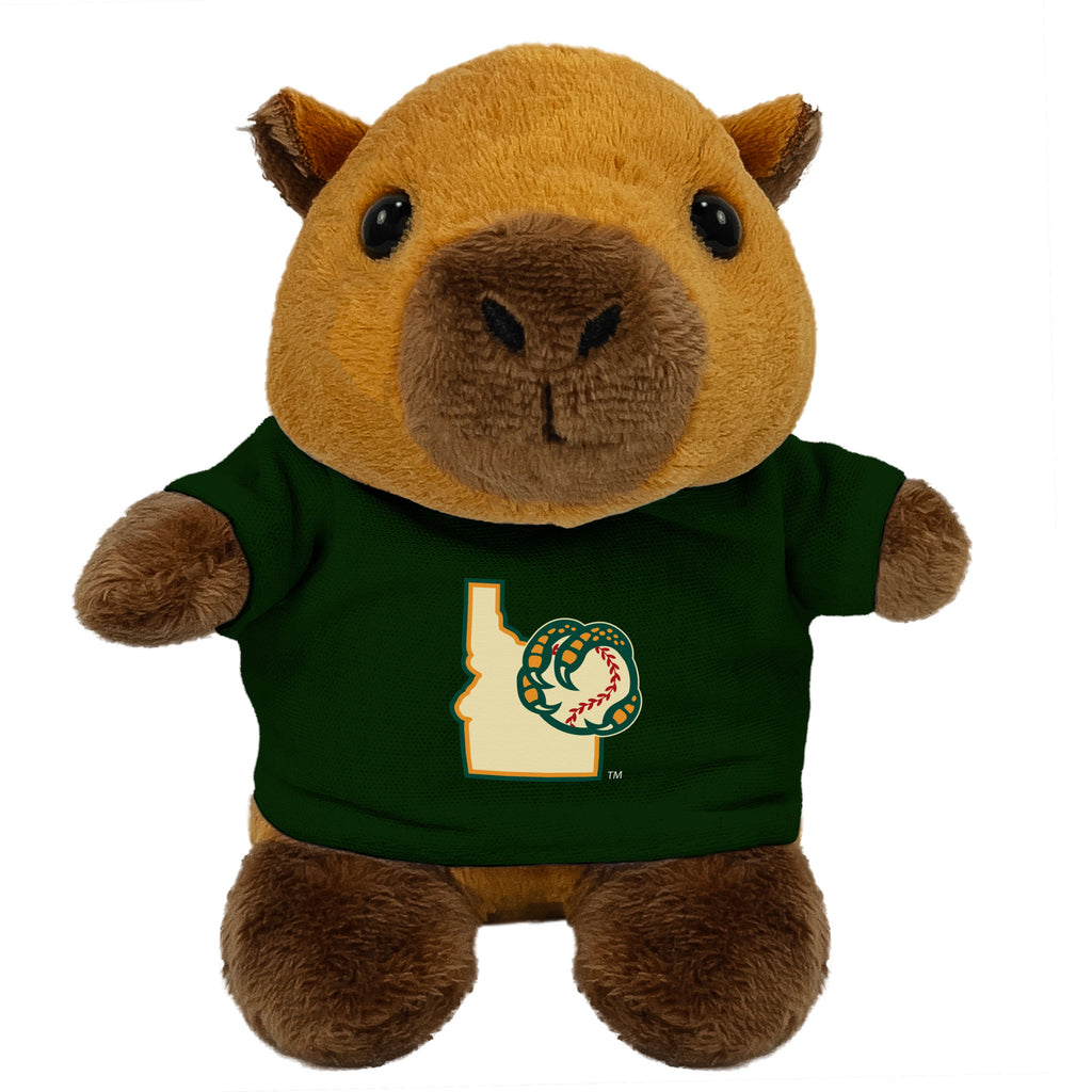 BOISE HAWKS STUBBY PLUSH
